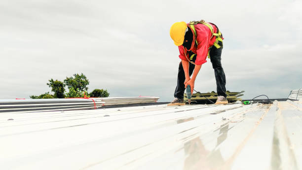 Roof Coating Services in Sanborn, NY